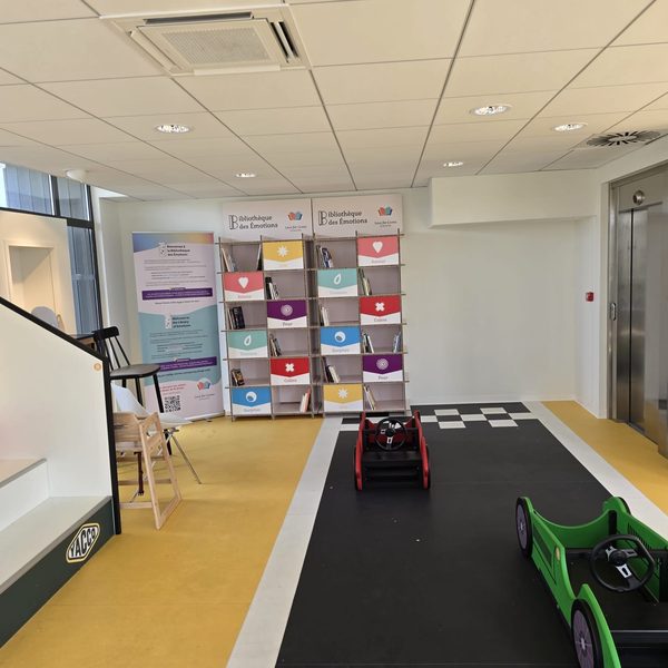 Une Bibliothèque des Émotions en situation dans un espace d’accueil