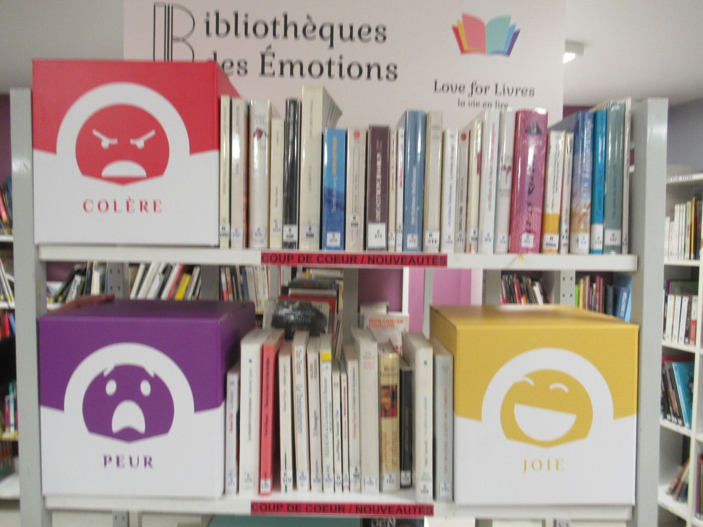 Les cases Colère, Peur et Joie du Kit, dans des rayonnages