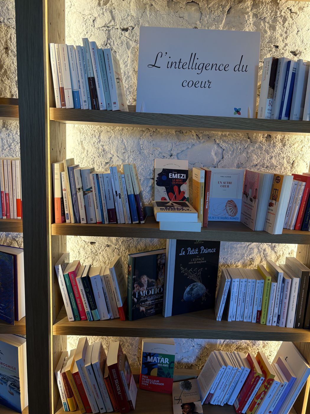 Les rayonnages de la Bibliothèque de l’Intelligence du Cœur