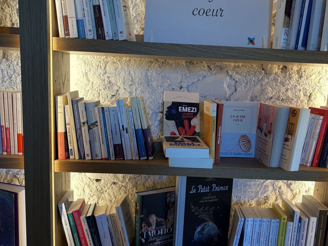 Les rayonnages de la Bibliothèque de l’Intelligence du Cœur