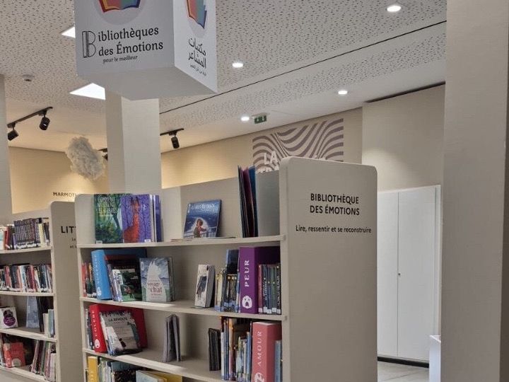 Une Bibliothèque des Émotions installée dans une bibliothèque